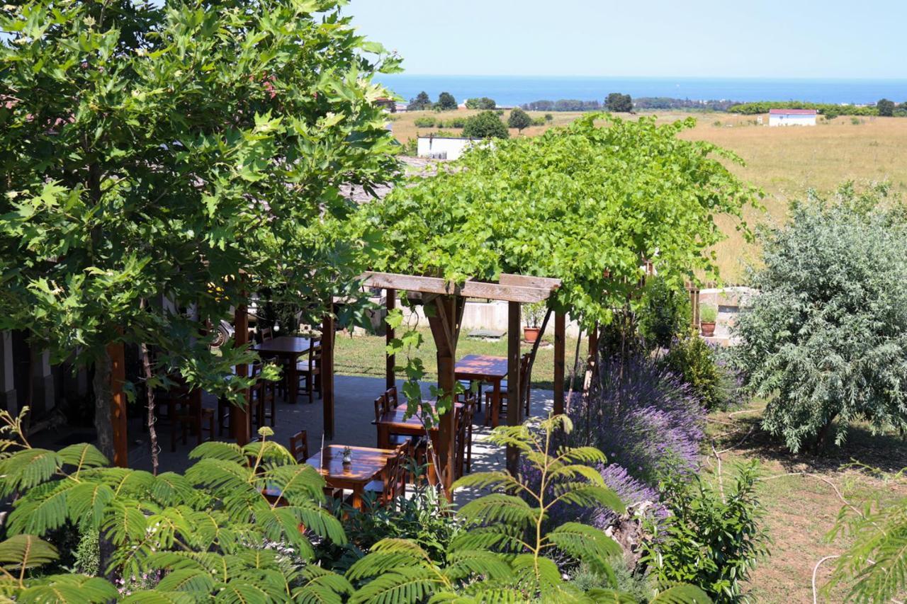Vis Velika Bed and Breakfast Εξωτερικό φωτογραφία